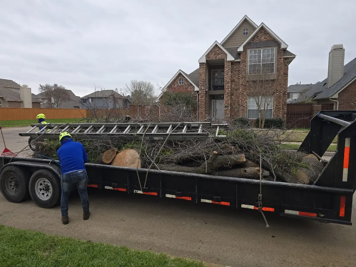 Expert Tree Pest Control with proper safety equipment in La Plata